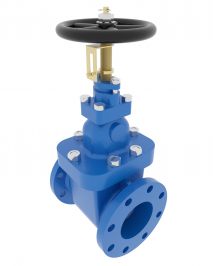 Meson Group | Gate Valve DN50 JIS 5K