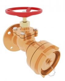 Meson Group | Fire Valve DN50 PN16